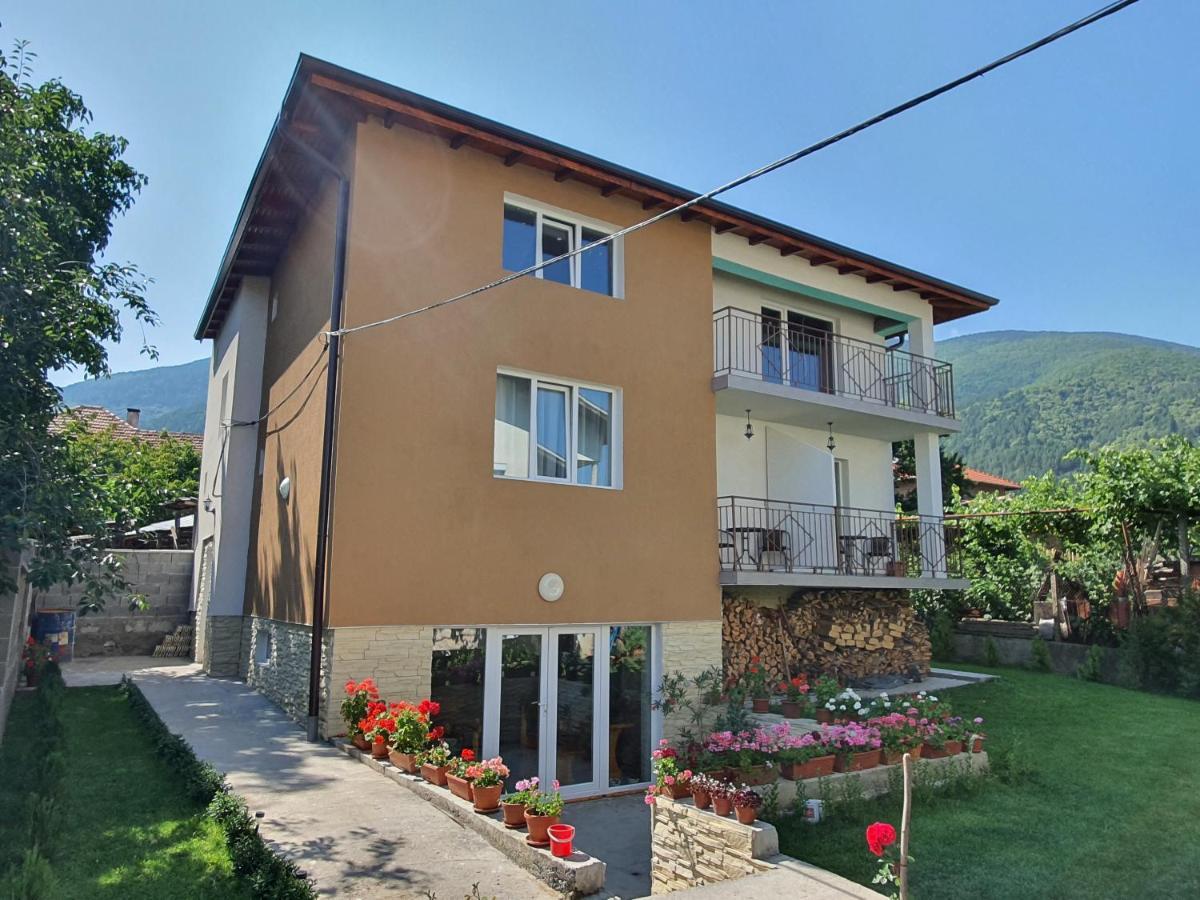 Дамяновата Къща Hotel Sapareva Bania Exterior foto