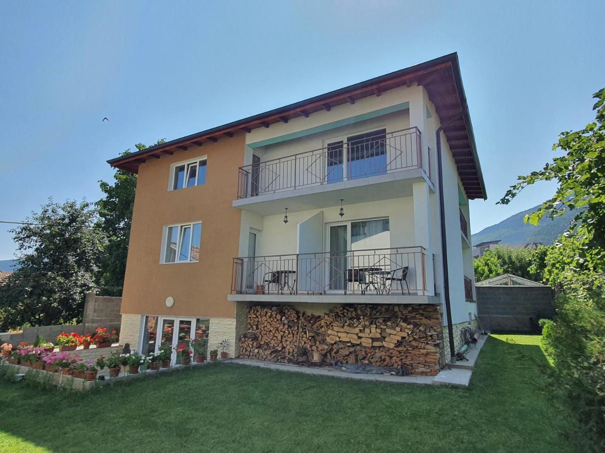 Дамяновата Къща Hotel Sapareva Bania Exterior foto